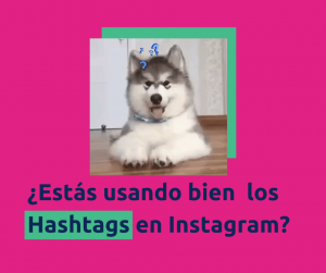 Hashtags en instagram
